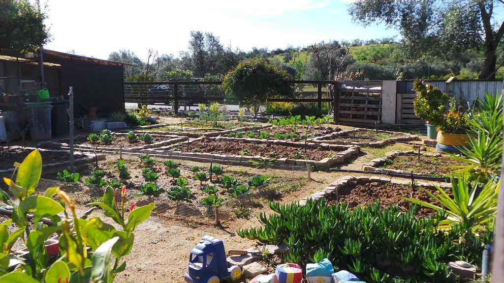 Centre Algarve Ξενοδοχείο Moncarapacho Εξωτερικό φωτογραφία